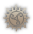 class logo