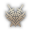 class logo