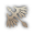 class logo