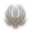 class logo