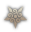 class logo