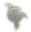 race logo