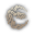 race logo