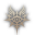 race logo